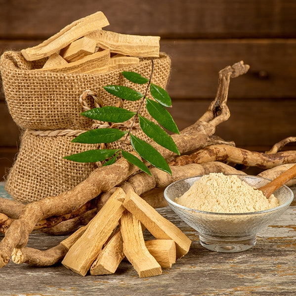 Unlocking The Power of Tongkat Ali: Benefits, Uses, and Side Effects Explained