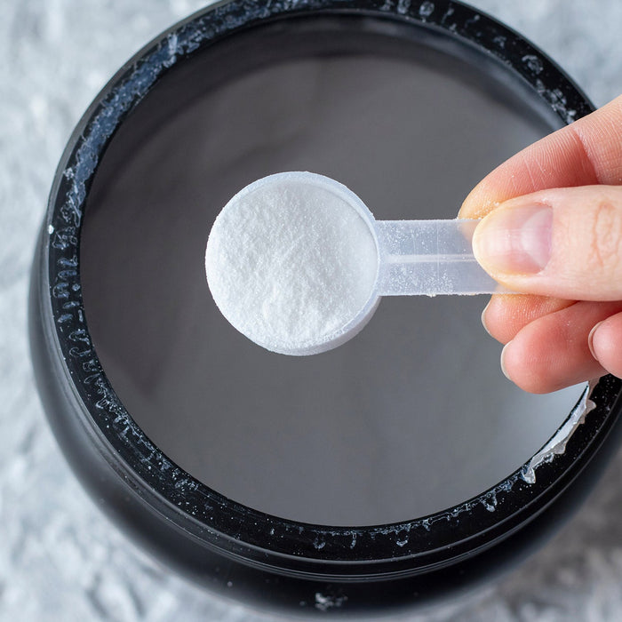 Exploring Amino Acids: The Building Blocks of Life